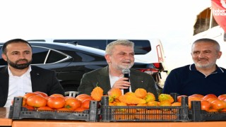 Başkan Fırat Görgel Sera Üreticileriyle Buluştu: Tarıma Destek Sürecek