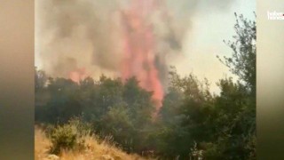 Kahramanmaraş Ormanları İçin Alarm Zilleri Çalıyor