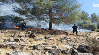 Kahramanmaraş'ta Orman Yangınına Sebep Olan 2 Kişi Yakalandı