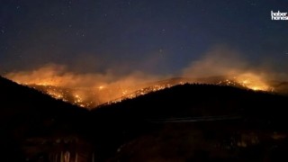 Kahramanmaraş’ta 80 Hektarlık Orman Arı Tütsüsü Yüzünden Yandı!