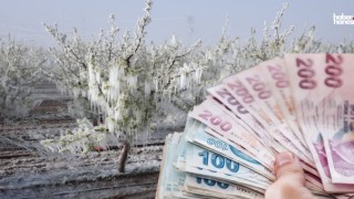 Kahramanmaraşlı Çiftçiye Rekor Destek: 1,7 Milyar TL Ödeme