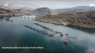 Kahramanmaraş’ta Baraj Gölünde 17 Bin Tonluk Üretim Başarısı