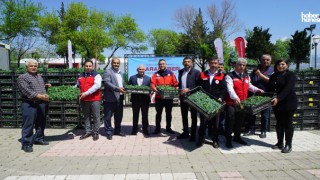 Kahramanmaraş Büyükşehir’den Üreticiye 650 Bin Hibe Biber Fidesi