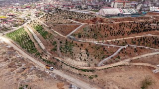 Kahramanmaraş’ta Dev Yeşil Proje! 75 Bin Metrekarelik Karbon Yutak Alanı Yükseliyor