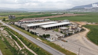 Canlı Hayvan Borsası Kurban Bayramı’na Hazır; Kurbanlık Satışları Başlıyor