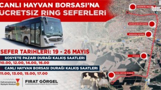 Canlı Hayvan Borsası’na Ücretsiz Ring Seferleri Başlıyor