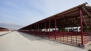 Canlı Hayvan Borsası’nda Kurbanlık Satış Yeri Kiralama Başvuruları Başladı!