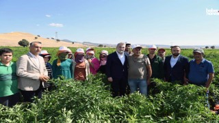 Kahramanmaraş Büyükşehir’den Tarımsal Kalkınmada Stratejik Vizyon, Üreticiye Tam Destek