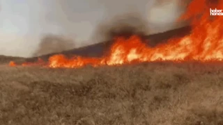 Kahramanmaraş Türkoğlu’nda Yıldırım Faciası! Buğday Tarlası Alev Alev Yandı