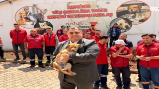 Türkiye'nin İlk Sahipsiz Hayvanları Koruma Birliği Kahramanmaraş'ta Büyük Dönüşüm Başlattı