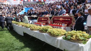 Bertiz Boyalı’da 30. Güreş Festivali Heyecanı! Pehlivanlar Er Meydanına Çıkıyor