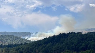 Kahramanmaraş’ta Orman Yangını! 70 Personel ve 3 Helikopter Seferber Oldu
