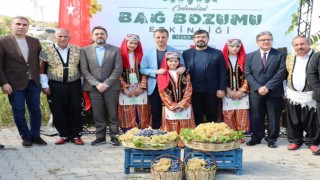Bertiz’in Üzüm Geleneği Yaşatılıyor: Kahramanmaraş’ta Bağ Bozumu Etkinliği