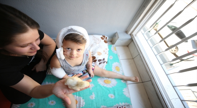 Antalya’da sevmek istediği köpek tarafından ısırılan çocuk yaralandı