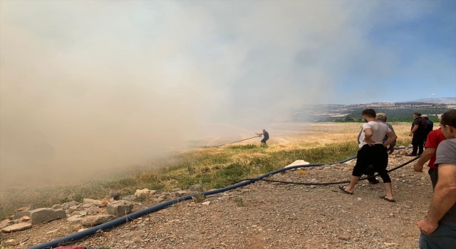 Kahramanmaraş’ta buğday hasadı sırasında çıkan yangın söndürüldü
