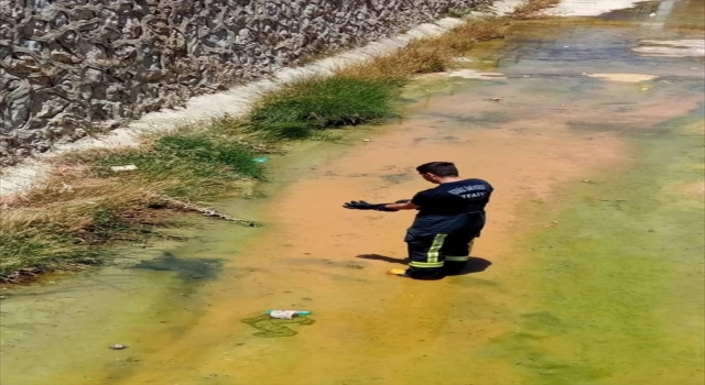 Serik’te su kanalına düşen kediyi itfaiye kurtardı