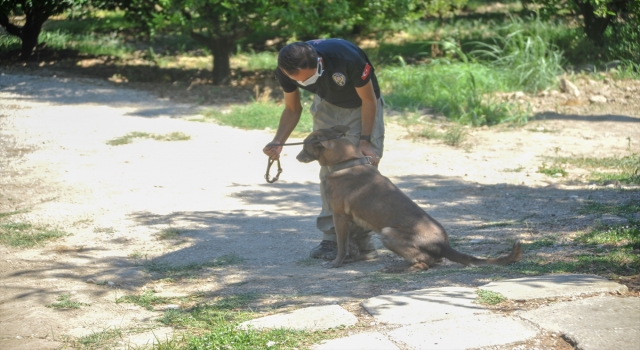 Antalya’da kayıp ihbarı yapılan kişiyi arama çalışmaları devam ediyor
