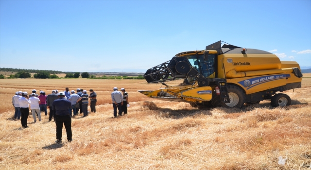 Kahramanmaraş’ta buğday hasadı başladı