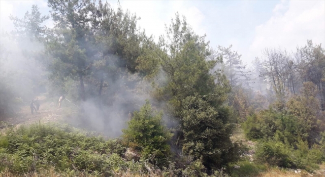 Osmaniye’de tarlada çıkan ve ormanlık alana sıçrayan yangın kontrol altına alındı