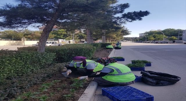 Burdur’da park ve bahçeler çiçeklerle renklenecek