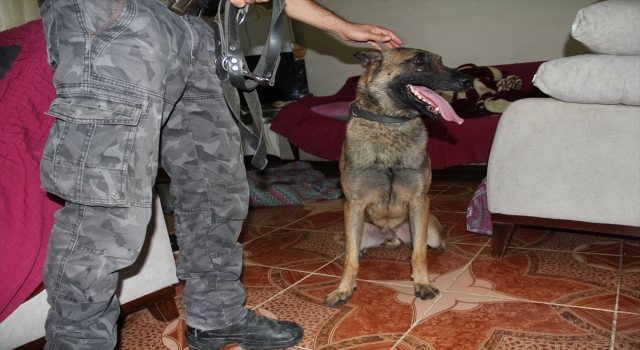 Hatay’da uyuşturucu operasyonunda 9 şüpheli yakalandı