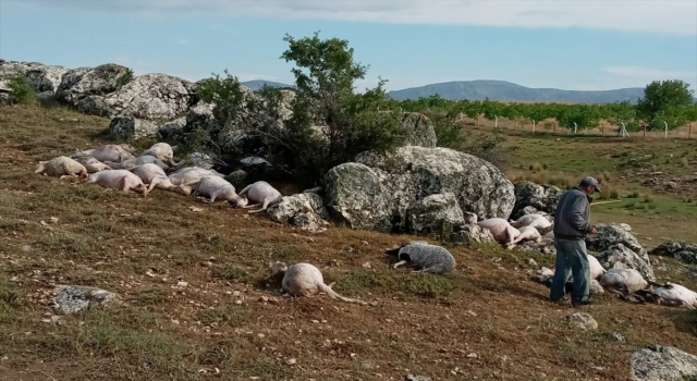 Burdur’da yıldırım isabet eden 23 koyun telef oldu