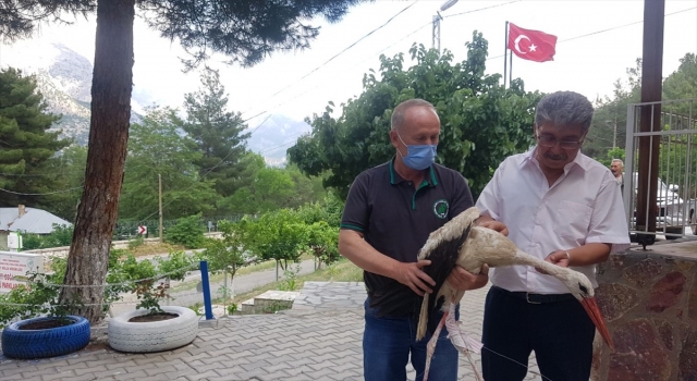 Adana’da yaralı bulunan leylek tedavi altına alındı