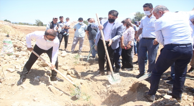 Gülnar İlçe Tarım ve Orman Müdürlüğü’nden üreticilere sumak ve ceviz fidanı desteği