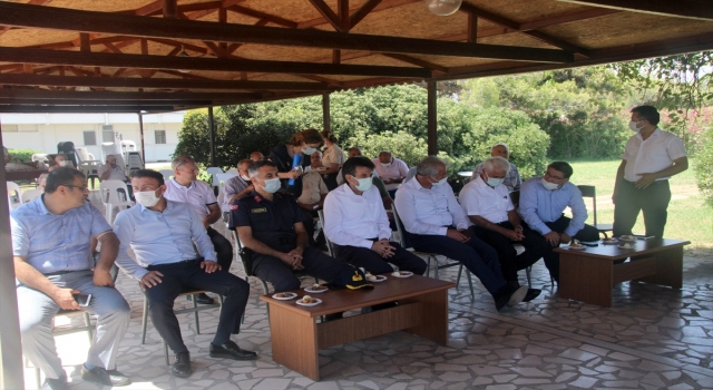Mersin’de atıl tarım arazilerine keçiboynuzu dikimi projesi