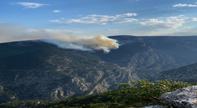 Mersin’de çıkan orman yangınına havadan ve karadan müdahale ediliyor
