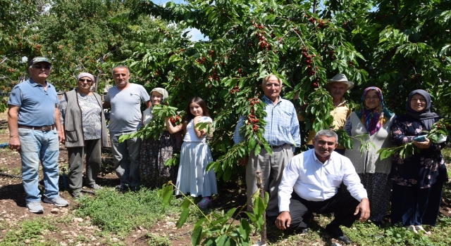 Kumluca’da ”Altınyaka kirazı” üretimi ilçe ekonomisine katkı sağlıyor
