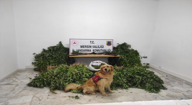 Mersin’de uyuşturucu operasyonu: 7 gözaltı