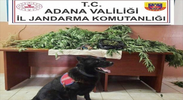 Adana’da evinde uyuşturucu ele geçirilen zanlı gözaltına alındı