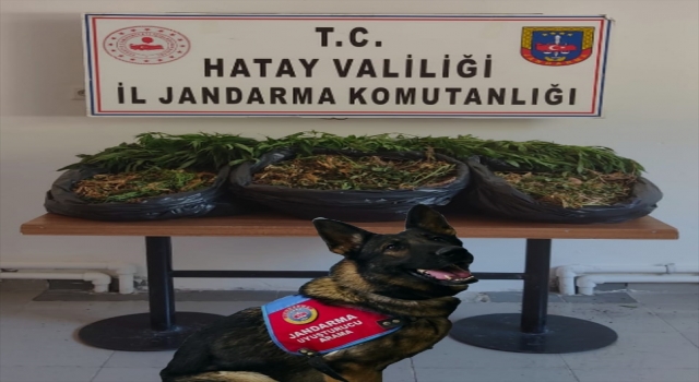 Hatay’da 12 bin uyuşturucu hap ve Hint keneviri ele geçirildi
