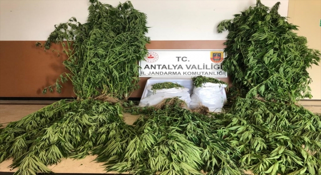 Antalya’daki uyuşturucu operasyonlarında 2 kişi yakalandı