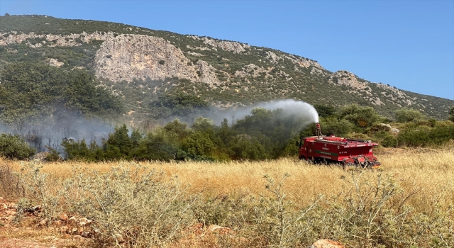 Antalya’da zeytinlik alanda çıkan yangın kontrol altına alındı
