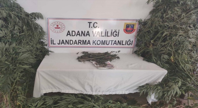 Adana’da evinde esrar ve kenevir ele geçirilen şüpheli gözaltına alındı