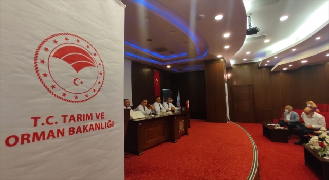 Akdeniz Meyve Sineği 2021 Yılı Ulusal Eylem Planı toplantısı