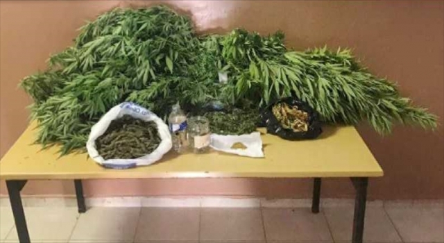Adana’da evlerinde Hint keneviri yetiştiren 3 şüpheli yakalandı