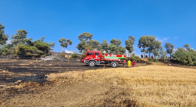 Osmaniye’de tarlada başlayan ve ormanlık alana sıçrayan yangın kontrol altına alındı