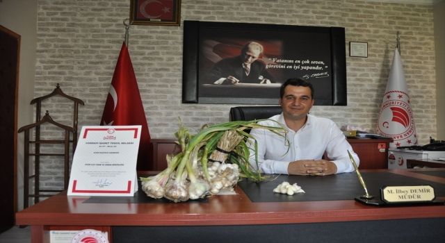 Afşin’de yetiştirilen Koçovası sarımsağı coğrafi işaret olarak tescillendi