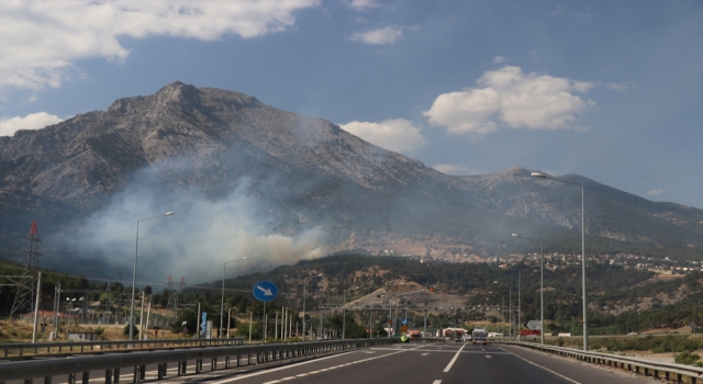 Adana’da çıkan orman yangını söndürüldü