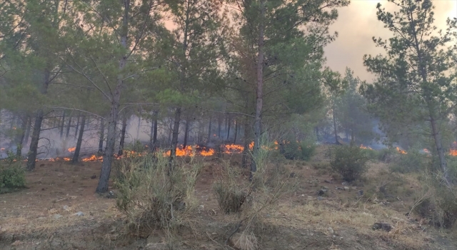 Mersin’de çıkan orman yangınına havadan ve karadan müdahale ediliyor