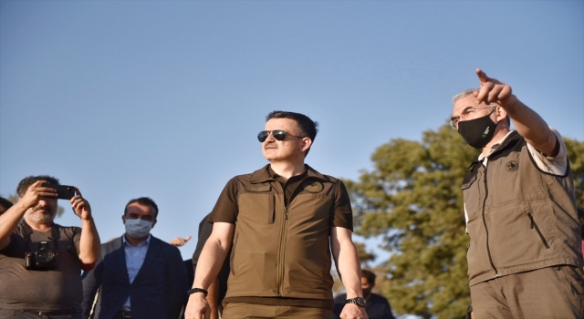 Tarım ve Orman Bakanı Bekir Pakdemirli, orman yangınlarıyla ilgili bilgi verdi: