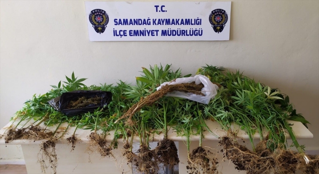 Hatay’da uyuşturucu operasyonlarında 2 şüpheli gözaltına alındı