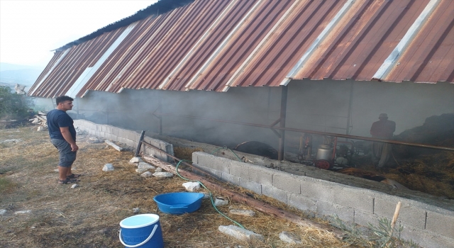 Mersin’de yangın çıkan ahırdaki 13 büyükbaş hayvan telef oldu