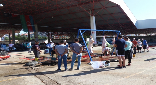 Antalya, Muğla, Isparta ve Burdur’da kesimhanelerde hareketlilik yaşanıyor