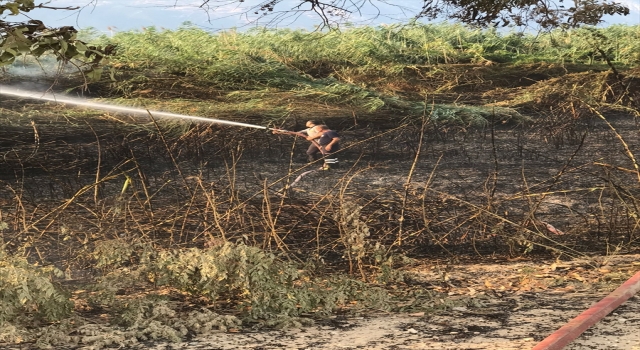 Hatay’da sazlık alanda çıkan yangın söndürüldü