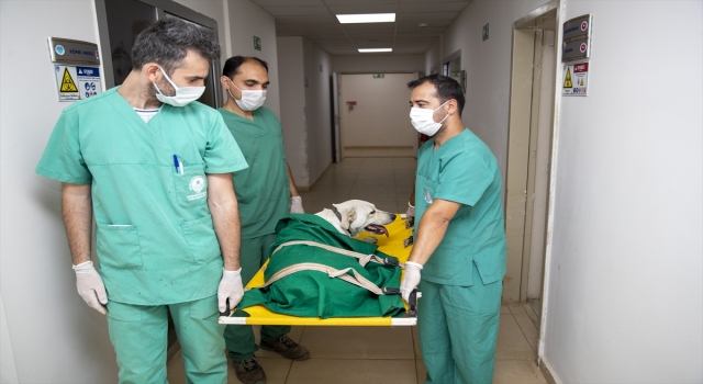 Mersin’de elektrikli bisiklete bağlanıp sürüklenirken bulunan köpeğin tedavisi yapıldı