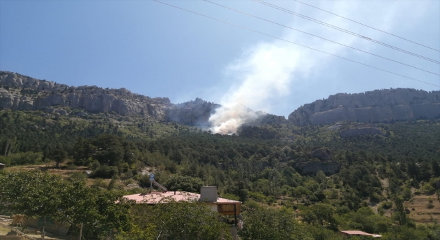 Adana Feke’de çıkan orman yangınına müdahale ediliyor